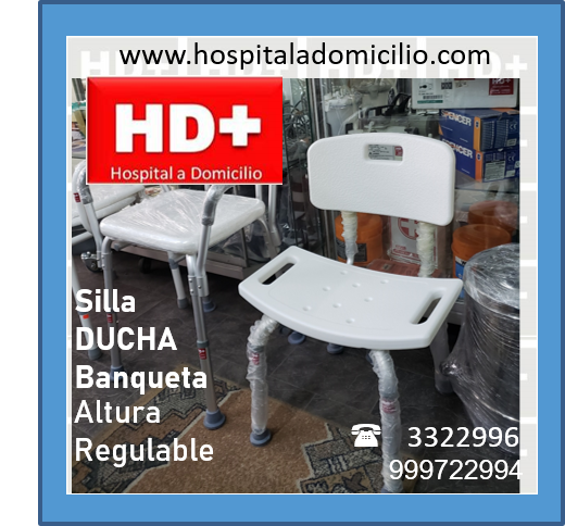 Silla Ducha Económica